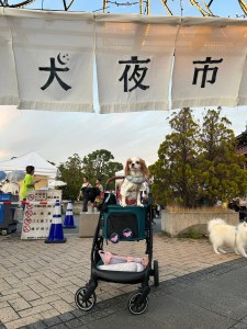 【夏のお出かけ】みなとみらいで開催されていた「犬夜市」に行ってきた🐕🌙