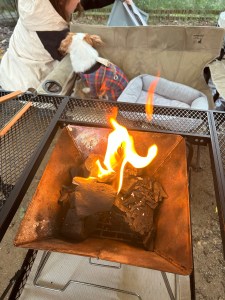 つくば犬たちの森でのキャンプは最高だった🦮🏕️【2日目】