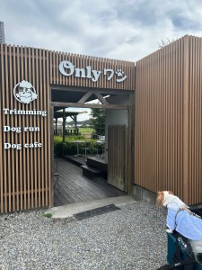 南羽生のドッグカフェDog Cafe Calmでランチ｜テラスで犬と過ごすハンバーグタイム