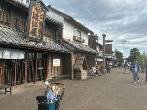 🐾羽生サービスエリアでティア＆がじゅとおでかけしてきた話｜犬連れドライブにおすすめ！